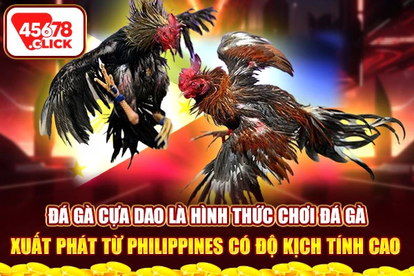 Biết nhận định ưu, nhược điểm của từng giống gà để đặt cược đúng