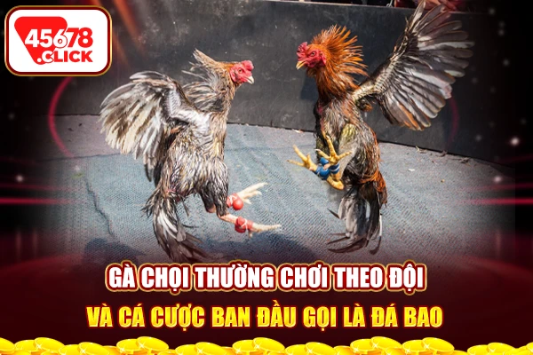 Gà được xem là khô lông khi bộ lông đã hoàn thiện, gốc lông khô ráo cứng cáp