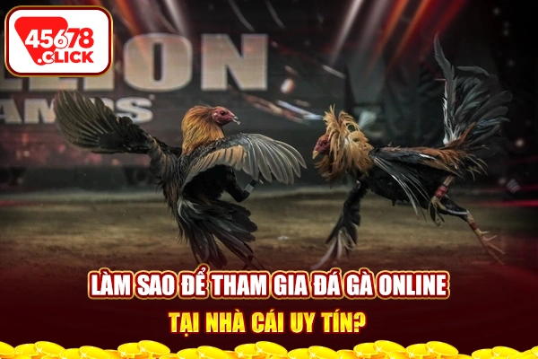 Làm sao để tham gia đá gà online tại nhà cái uy tín?