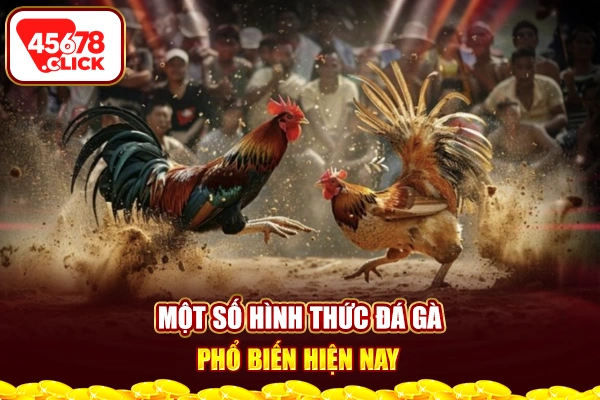 Một số hình thức đá gà phổ biến hiện nay