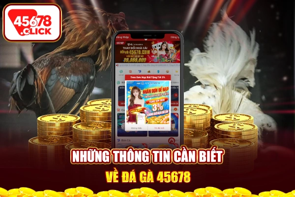 Những thông tin cần biết về đá gà trực tiếp